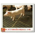 Low price crimped wire mesh for raising pigs/crimped wire mesh for sale